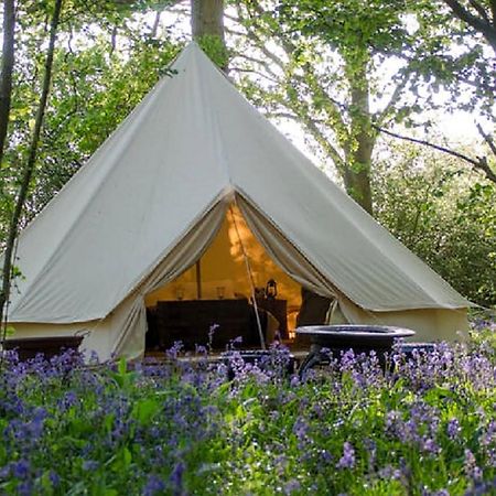 Oak Tree Farm Hotell Llanfynydd Eksteriør bilde
