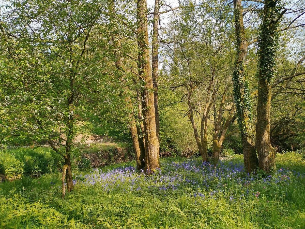 Oak Tree Farm Hotell Llanfynydd Eksteriør bilde