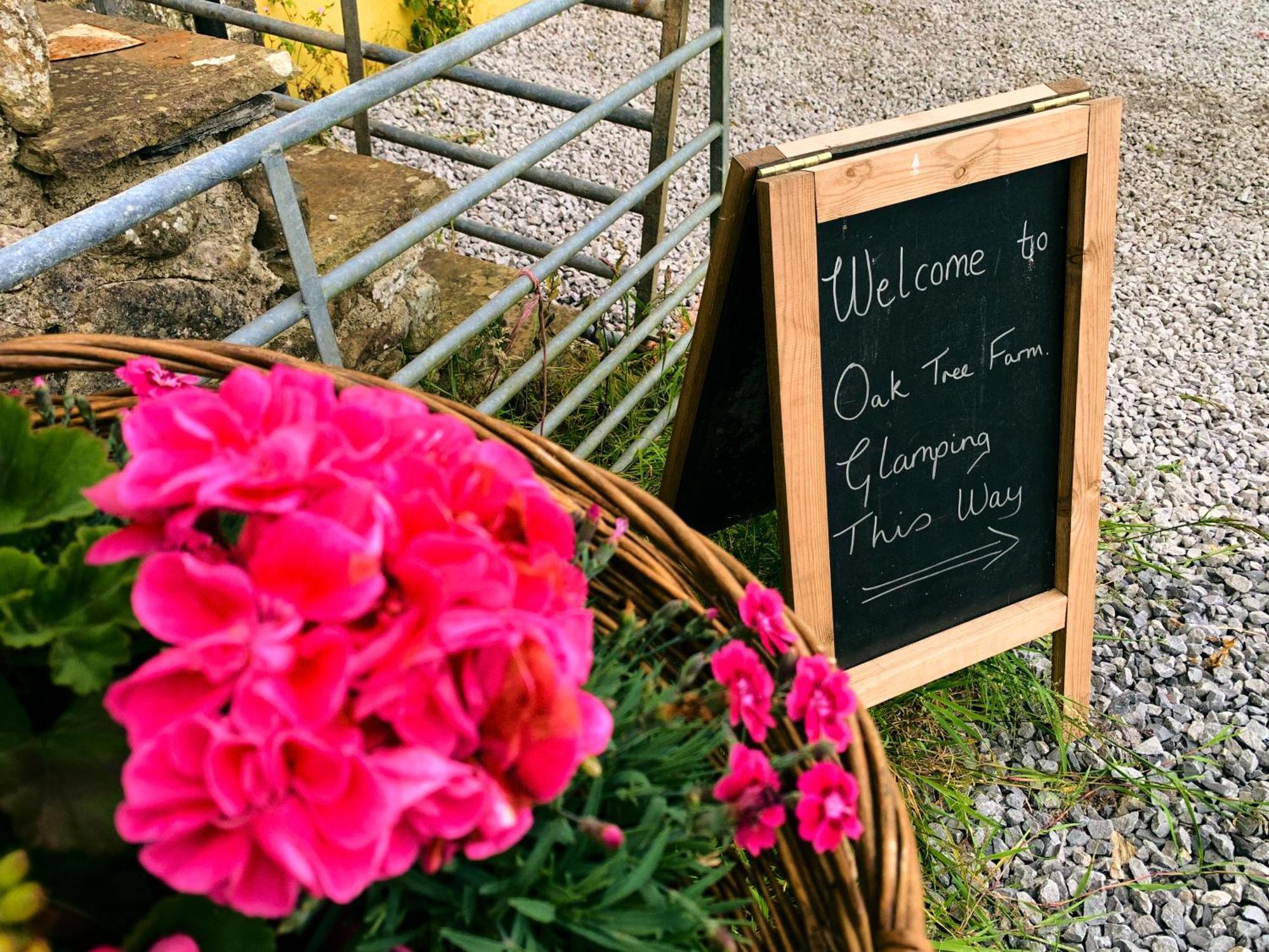 Oak Tree Farm Hotell Llanfynydd Eksteriør bilde