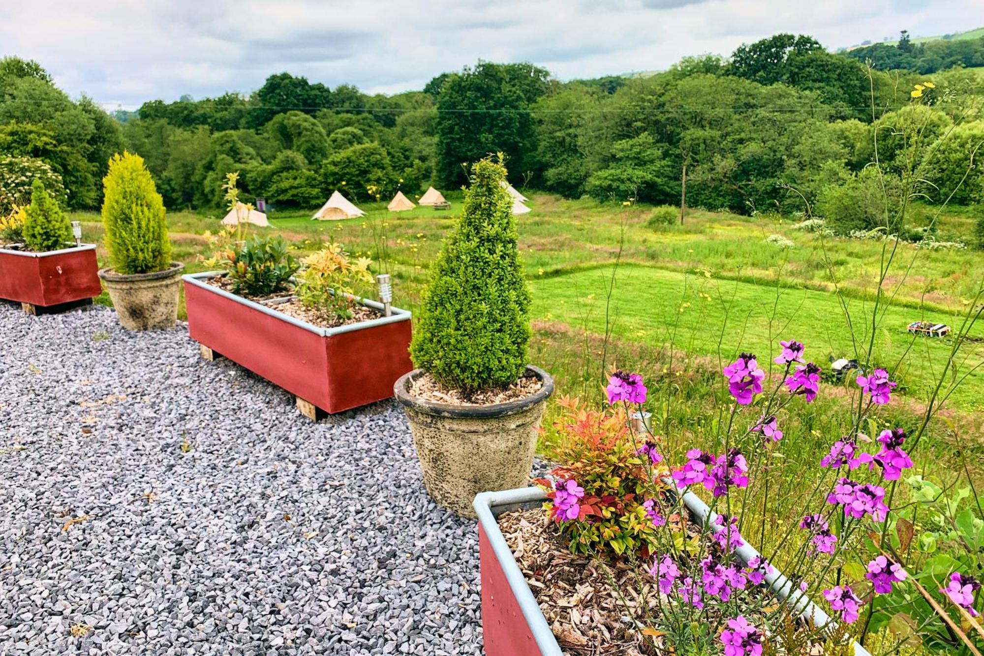 Oak Tree Farm Hotell Llanfynydd Eksteriør bilde
